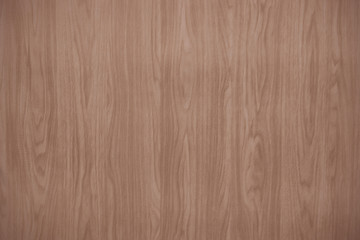 Fototapeta premium wooden texture with natural patterns