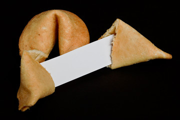 Fortune cookies plain
