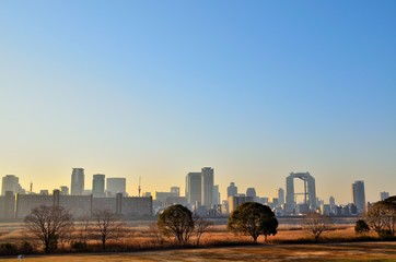 朝の大阪ビル群