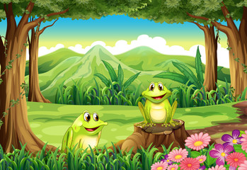 Fototapeta premium Two frogs at the forest