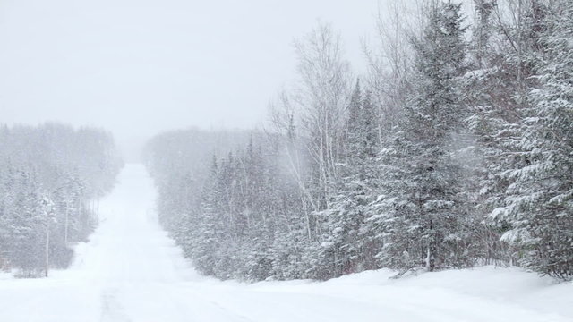 Snowstorm during a cold winter day