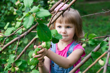 Little beautiful girl