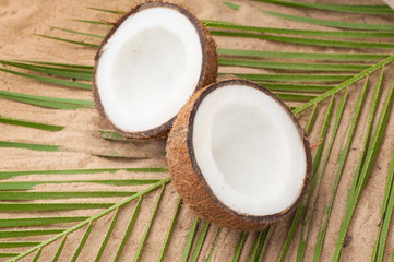 Coconut on tropical sand beach
