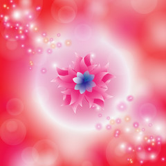 Flowers colorful background with bokeh.