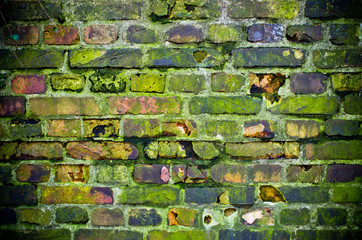 Old mossy wall