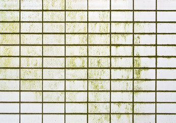 Green wall surface