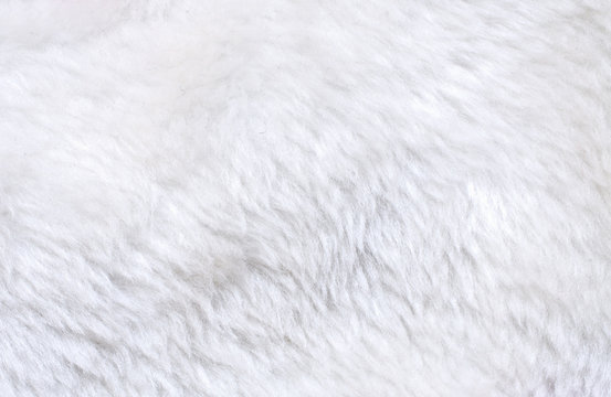 White Fur