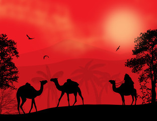 Fototapeta na wymiar Bedouin and camels during the red night