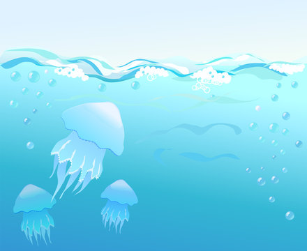 underwater with jellyfish