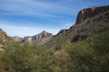 Fototapeta na wymiar Tucson's Sabino Canyon