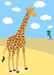 giraffe in the desert
