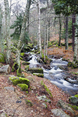Arroyo del Sestil en la Sierra de la Morcuera