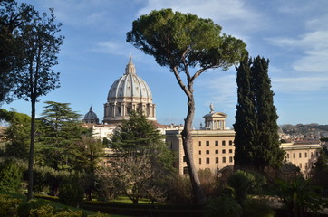 Dai giardini vaticani