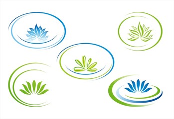 Fototapeta na wymiar water lily , Buddha , Eco friendly business logo , India