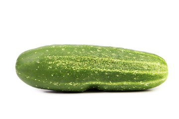 Single green cucumber.