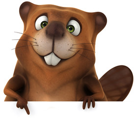 Beaver © Julien Tromeur