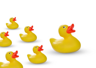 yellow rubber duck and ducklings isolated on white