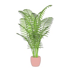 cartoon image of decorative plant
