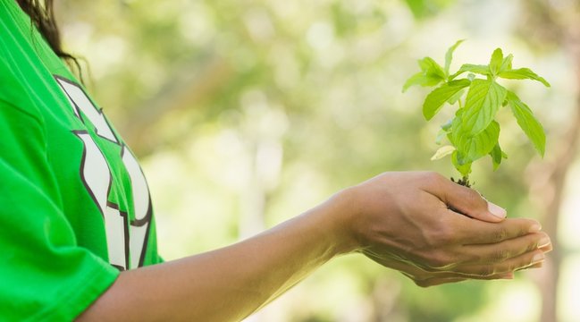 Mid Section Of Woman In Recycling T-shirt Holding Young Plant