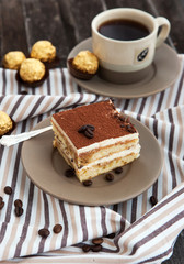 Portion of delicious tiramisu cake