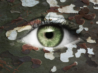 Auge mit Camouflagemuster