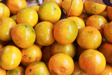 orange fruits in the market