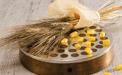 extrude and wheat bronze