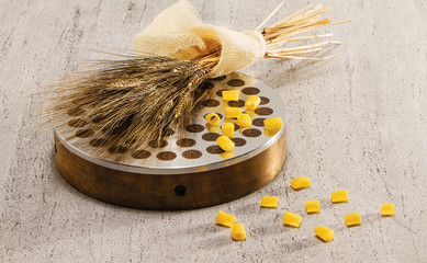 extrude, wheat and ditali