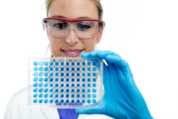 scientist woman examining a microplate