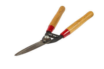 Hedge Clippers