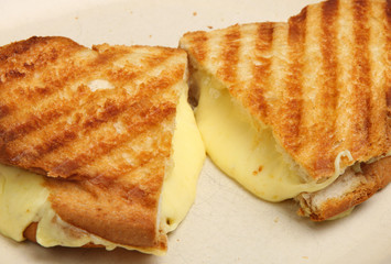 Toasted Cheese Sandwich