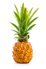 Ananas Baby - 61452628