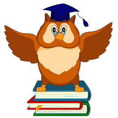 an owl sits on the books