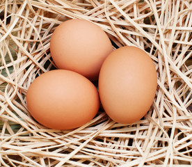 Three brown eggs