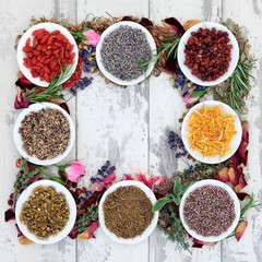 Medicinal Herbs