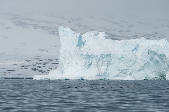 Iceberg in Disko bay of Greenland