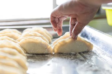 Uncooked Chinese dumplings arranged in rows