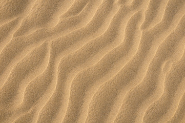 Fototapeta premium Sand Dune Desert Texture