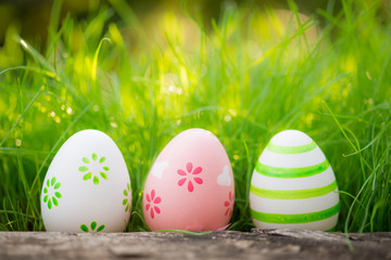 Easter eggs on green grass