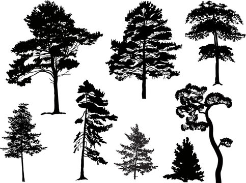 eight black trees set isolated on white
