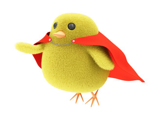 Little Chicken Superhero isolated on white background