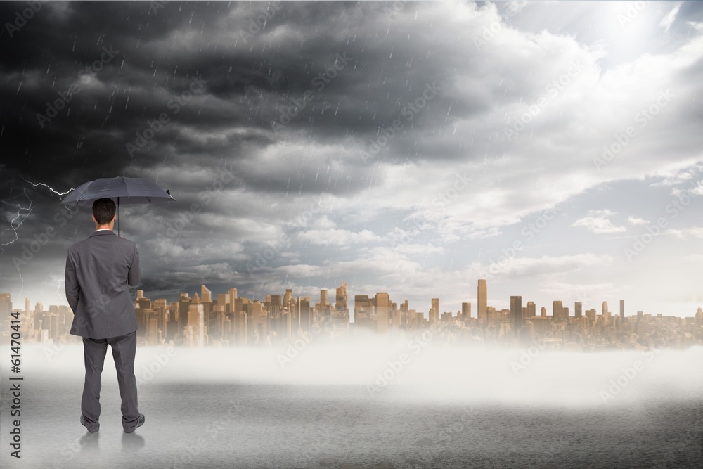 Poster composite image of rear view of classy businessman holding