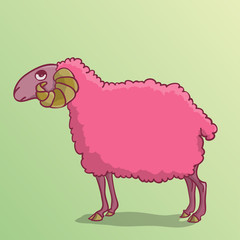 Sheep pink