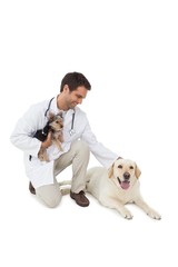 Smiling vet posing with yorkshire terrier and yellow labrador