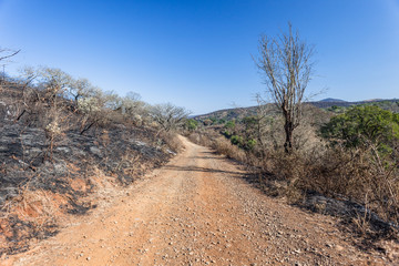 Dirt Road Fire Burned Wilderness Terrain