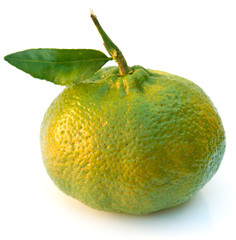 mandarine bio