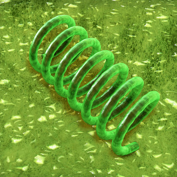 Syphilis - 3d Render