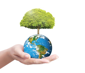 earth in human the hand
