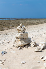 Korallenbleiche am Sandstrand