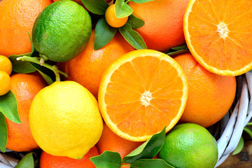 Oranges, lemon,grapefruit, lime, mandarin, kumquats fruits